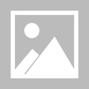 天天盈球下载-【布鲁克林网事】天王山挥舞割鹿刀 你永远可以信KD